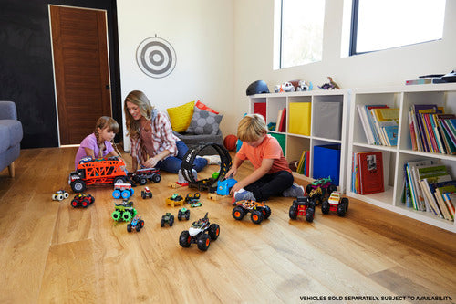Hot Wheels Monster Trucks 1:24 Assorted