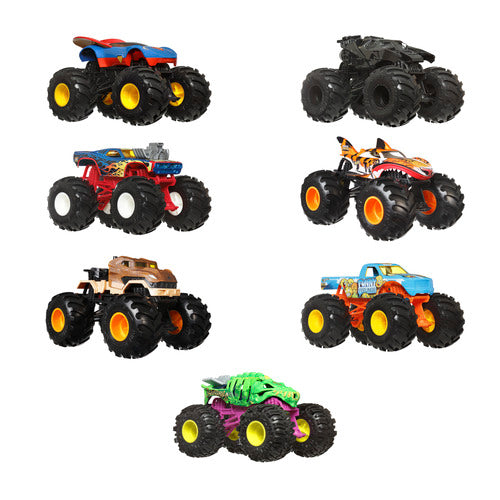 Hot Wheels Monster Trucks 1:24 Assorted
