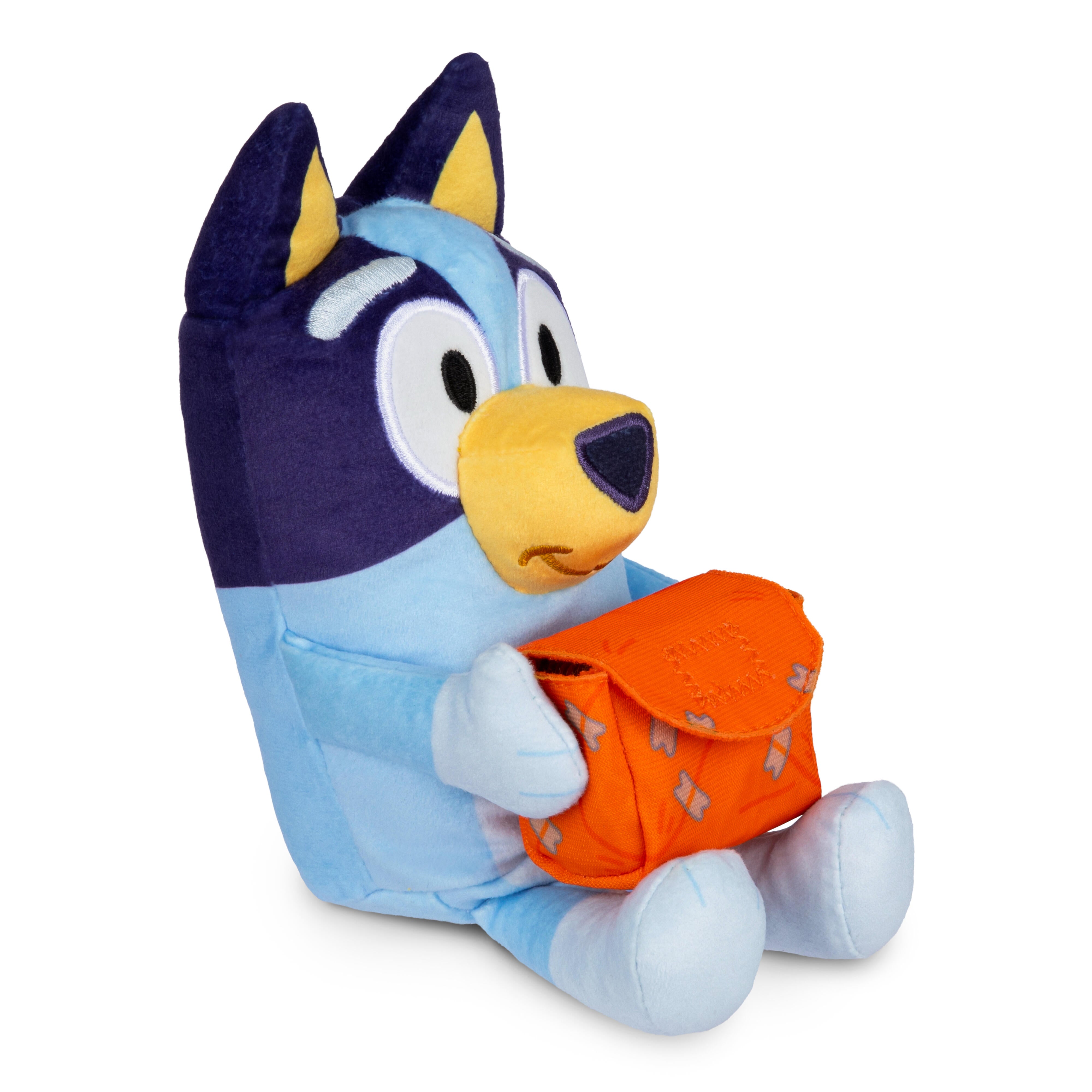 Bluey Pass The Parcel