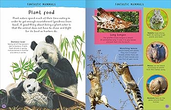 Encyclopedia Of Amazing Facts Hardback First Reference Book