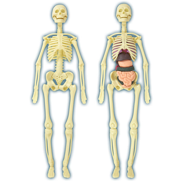 Brainstorm Toys Build A Body