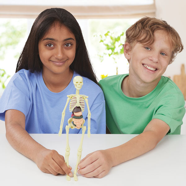 Brainstorm Toys Build A Body