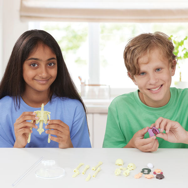 Brainstorm Toys Build A Body