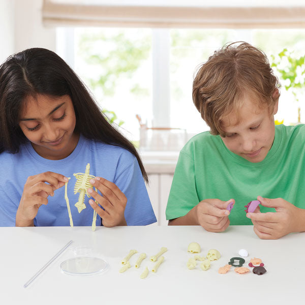 Brainstorm Toys Build A Body