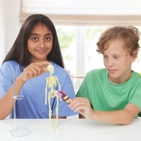 Brainstorm Toys Build A Body