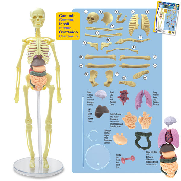 Brainstorm Toys Build A Body