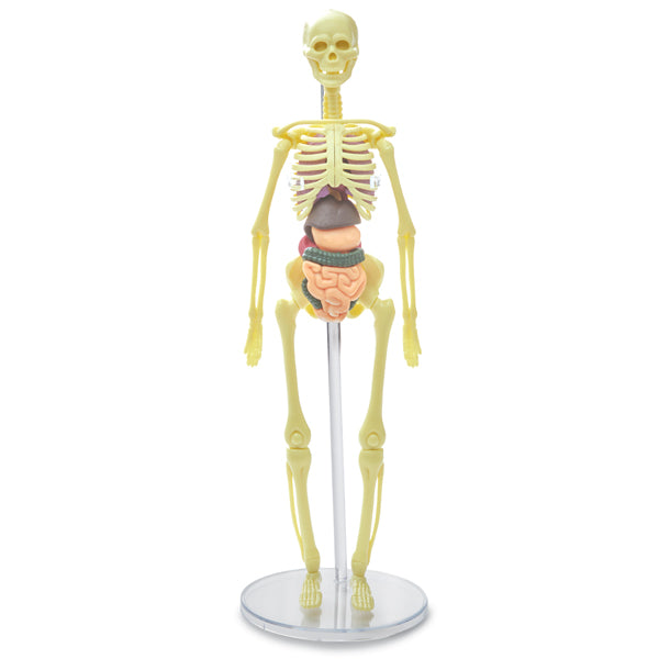 Brainstorm Toys Build A Body