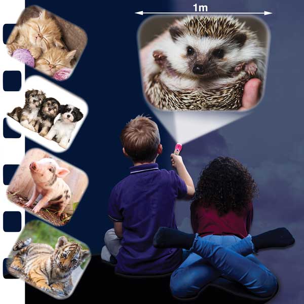 Cute & Cuddly Torch And Projector