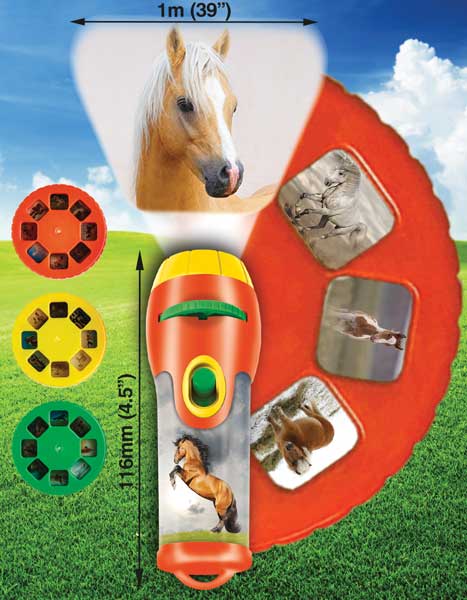 Horse Torch And Projector