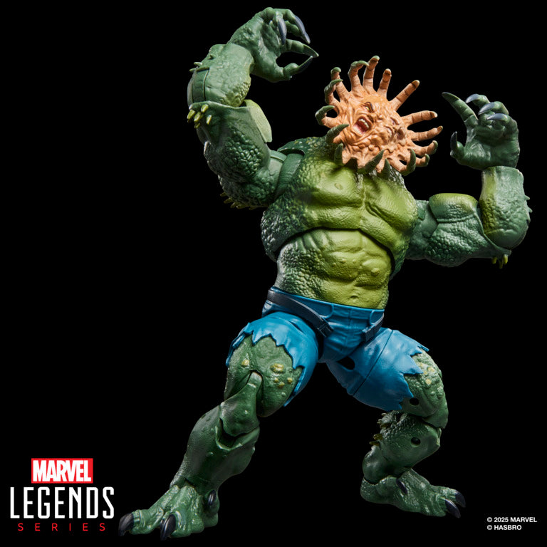 Marvel Legends Series Marvel’s Abomination, Hulk
Comics Action Figure