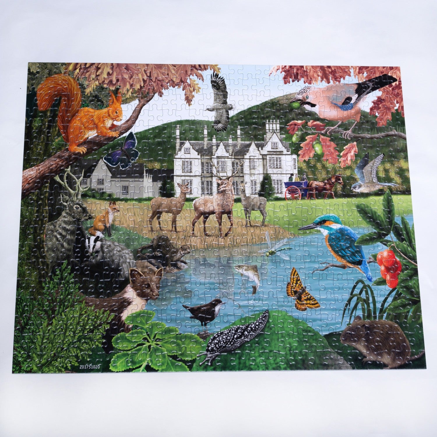 Gosling Games Killarney 500 Piece Jigsaw Puzzle