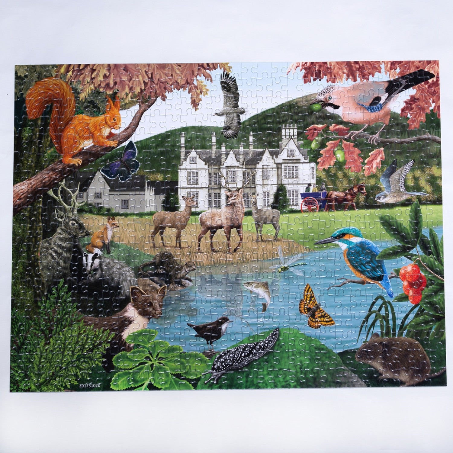 Gosling Games Killarney 500 Piece Jigsaw Puzzle