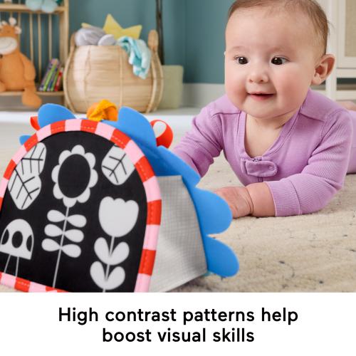 Fisher Price Prop N Go Portable Mirror