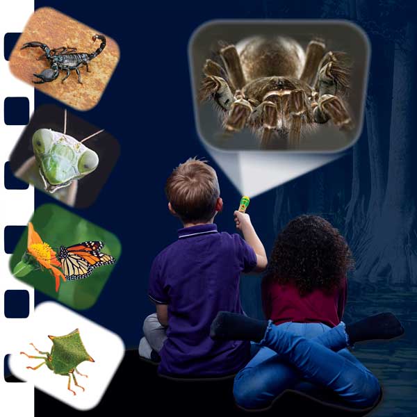 Natural History Museum Creepy Crawly Torch  And Projector