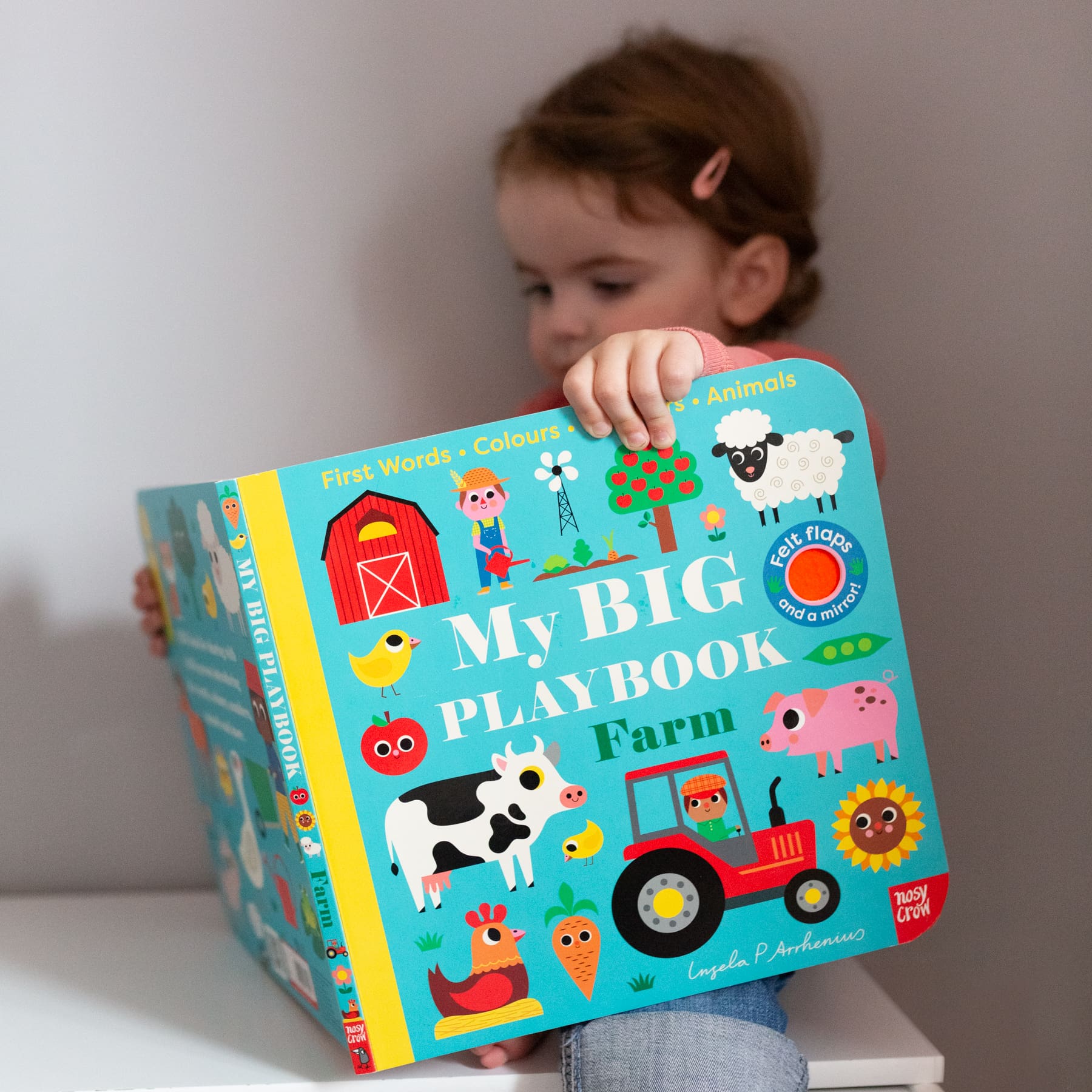 My Big Playbook: Farm Sensory Board Book