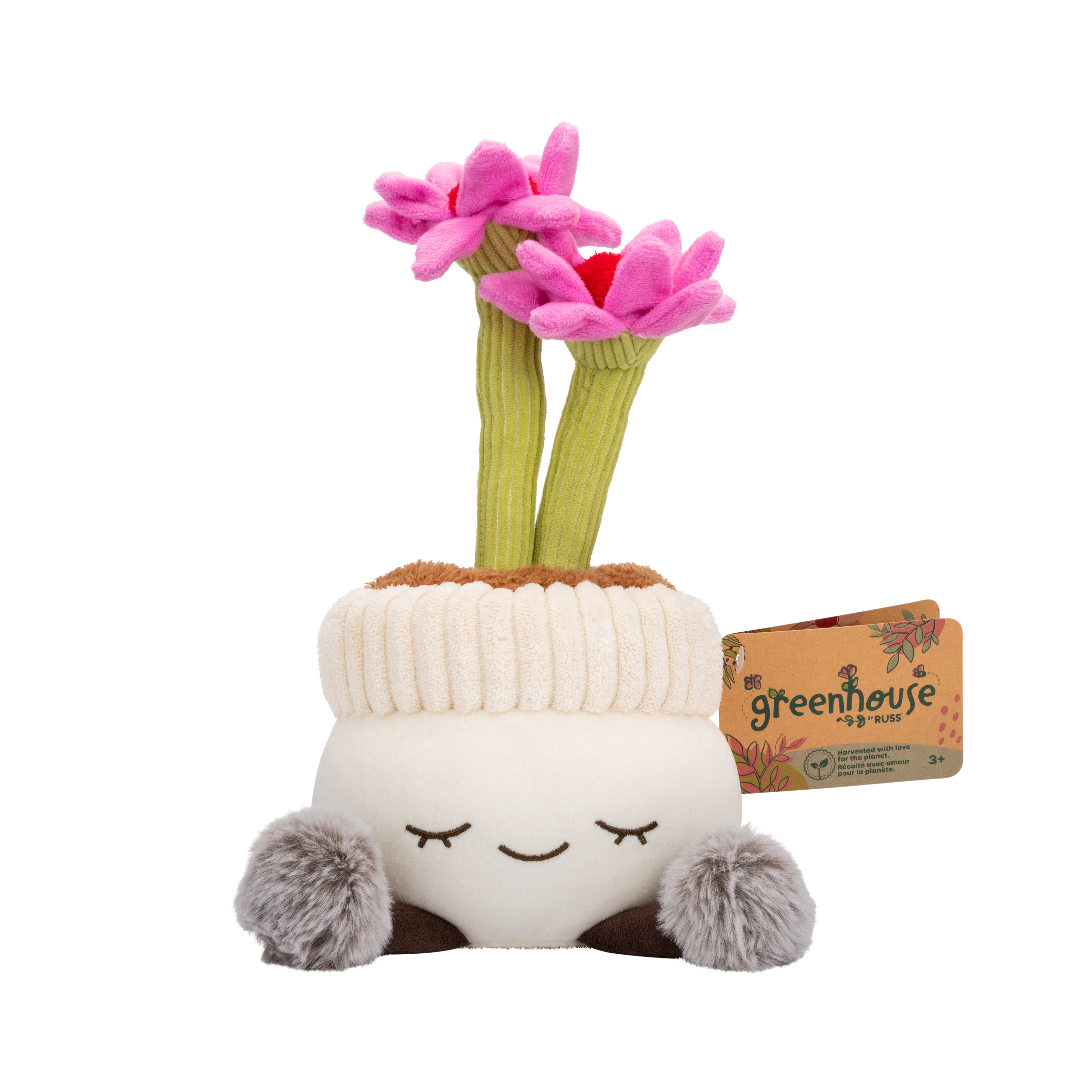 Greenhouse By Russ 12-Inch Assorted Plant Plush