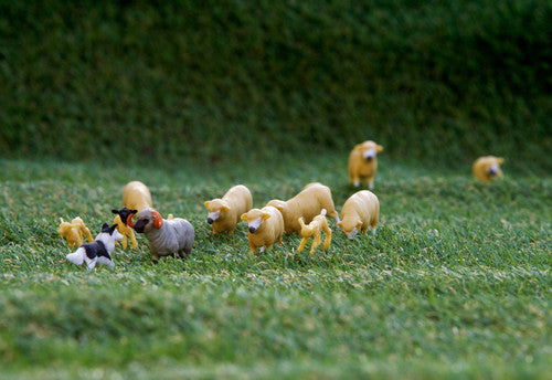 Britains Sheep Set
