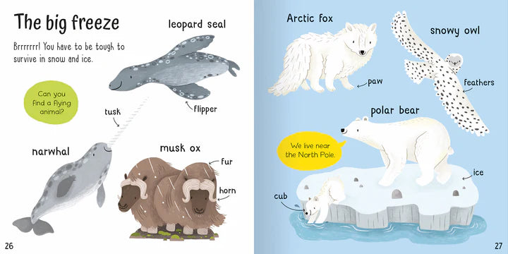 Wonderful Words: Animals! Book