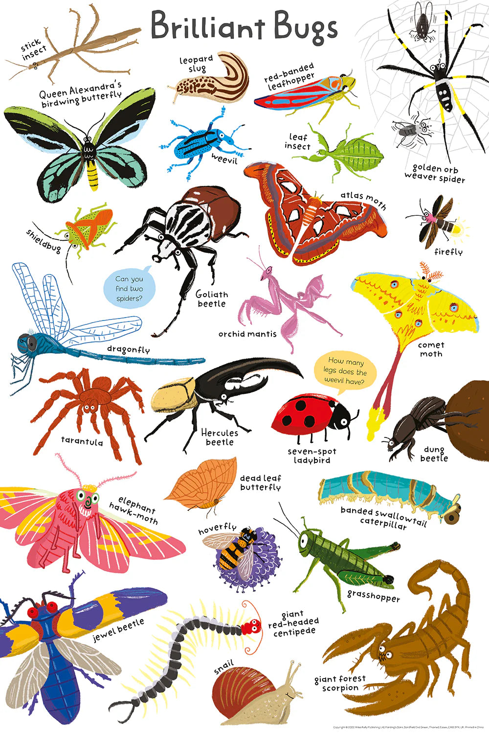 Wonderful Words: Bugs! Book
