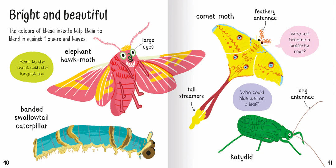 Wonderful Words: Bugs! Book