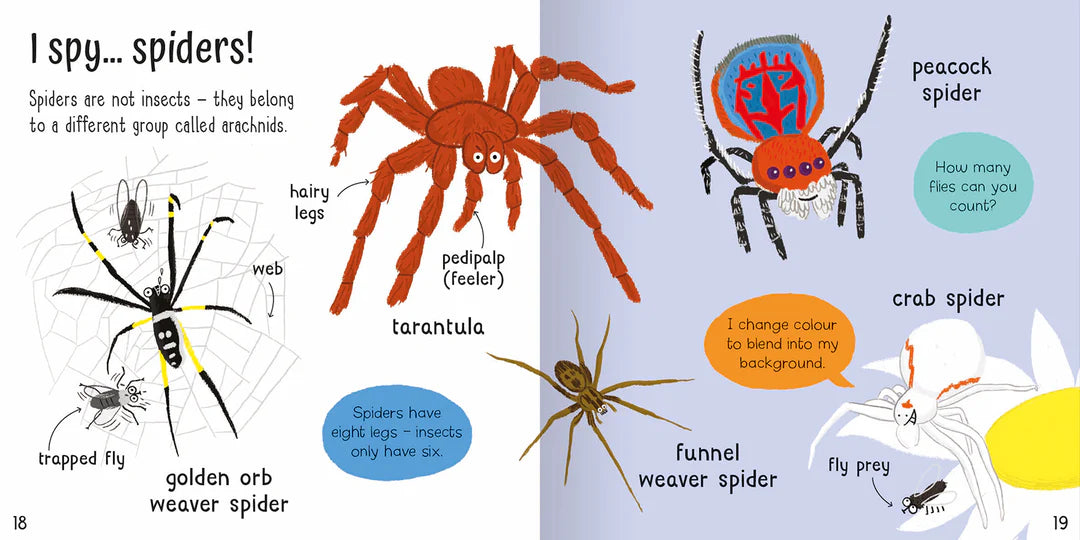 Wonderful Words: Bugs! Book