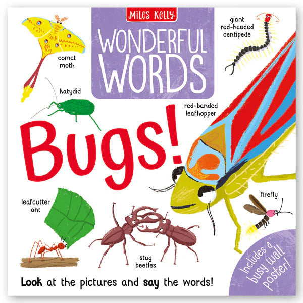 Wonderful Words: Bugs! Book