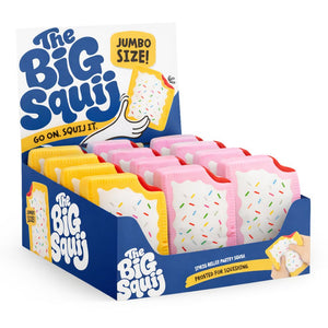 The Big Squij Squishy Pop Tart Assortment
