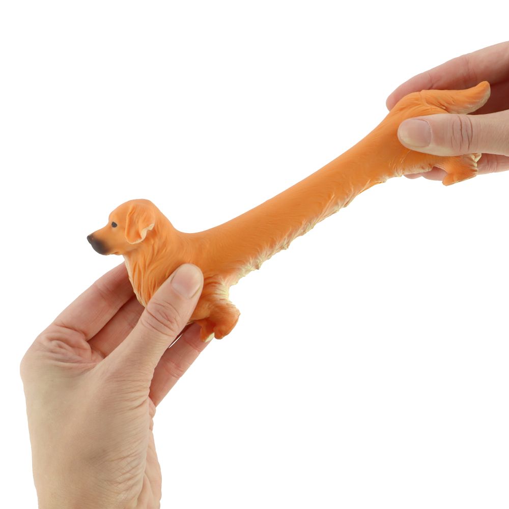 Stretchy Golden Retriever