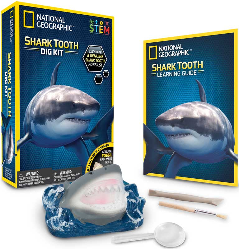National Geographic Shark Dig Kit