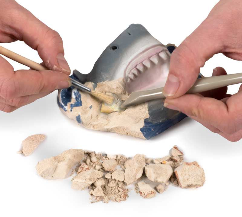 National Geographic Shark Dig Kit